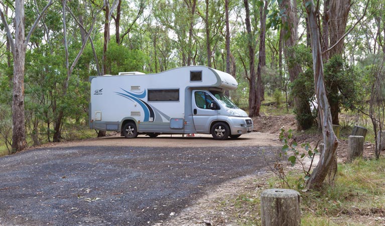 Campervan parked at Wollomombi Campground, Oxley Wild Rivers National Park. Photo: Rob Cleary/DPIE