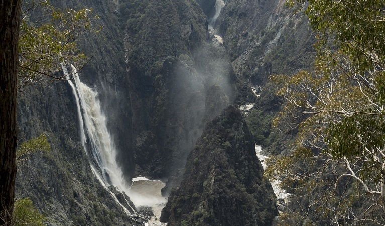 Wollomombi and Chandler Falls, Oxley Wild Rivers National Park. Photo: Leah Pippos &copy; DPE 