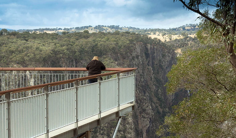  A man views Wollomombi Falls from the wheelchair-accessible lookout platform at Wollomombi Falls picnic area in Oxley Wild Rivers National Park. Photo: Leah Pippos © DPIE