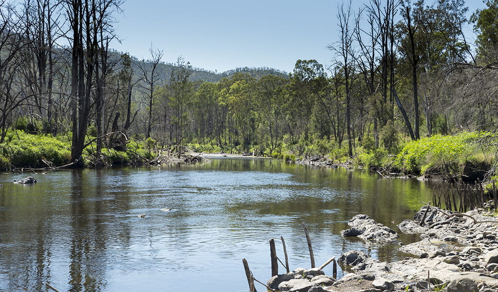 You can swim, fish and canoe on the Aspley River nestled near Riverside campground and picnic area in Oxley Wild Rivers National Park. Photo: Leah Pippos &copy; Leah Pippos