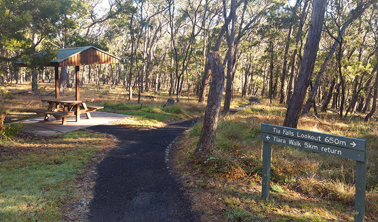 A picnic shelter among trees with a sign to Tia Falls lookout at Tia Falls campground, Oxley Wild Rivers National Park. Photo: Robert Cleary/DPIE