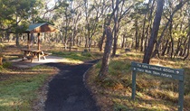 A picnic shelter among trees with a sign to Tia Falls lookout at Tia Falls campground, Oxley Wild Rivers National Park. Photo: Robert Cleary/DPIE