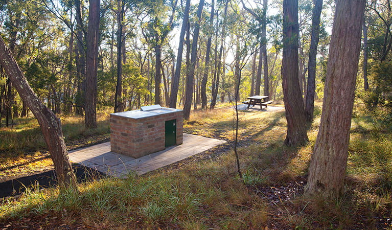 Barbecue facilities and picnic table at Tia Falls campground, Oxley Wild Rivers National Park. Photo: Robert Cleary/DPIE