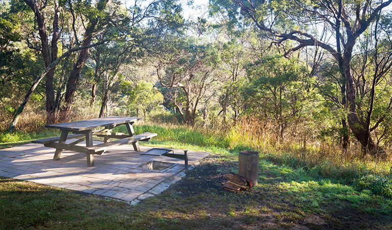 A picnic table and fire pit at Tia Falls campground, Oxley Wild Rivers National Park. Photo: Robert Cleary/DPIE