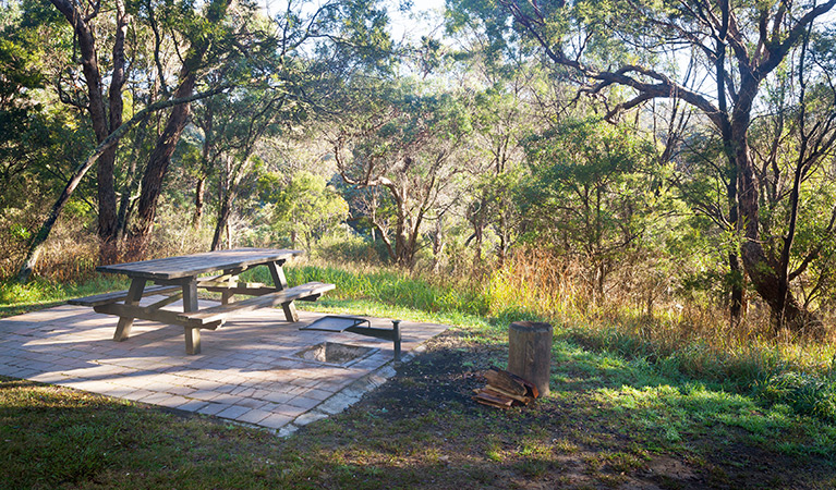 A picnic table and fire pit at Tia Falls campground, Oxley Wild Rivers National Park. Photo: Robert Cleary/DPIE