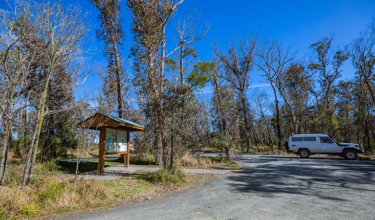 Tia Falls picnic area, Oxley Wild Rivers National Park. Photo: Josh Smith &copy; DPE