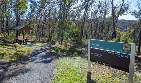 Tia Falls picnic area, Oxley Wild Rivers National Park. Photo: Josh Smith &copy; DPE