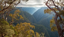 View past mature trees to a steep and winding gorge lit by shafts of light shining through clouds. Photo &copy; Gerhard Koertner