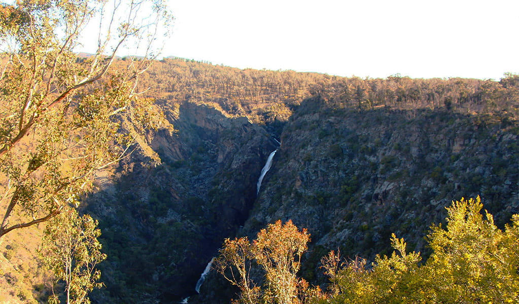View past trees to a waterfall cascading in steps into a deep gorge. Photo &copy; Jessica Stokes