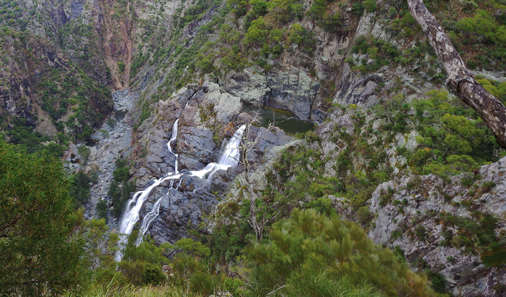 View of several cascades of water plunging into a deep gorge in a rugged bushland setting. Photo credit: Rob Cleary &copy; DPIE