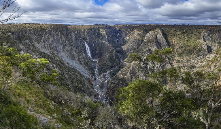 Wollomombi Main Falls lookout. Photo: Josh Smith © DPE