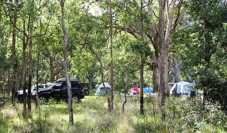 Enjoy shaded campsites in a truly remote, bush setting at Youdales campground. Credit: Natasha Webb &copy; Natasha Webb/DCCEEW