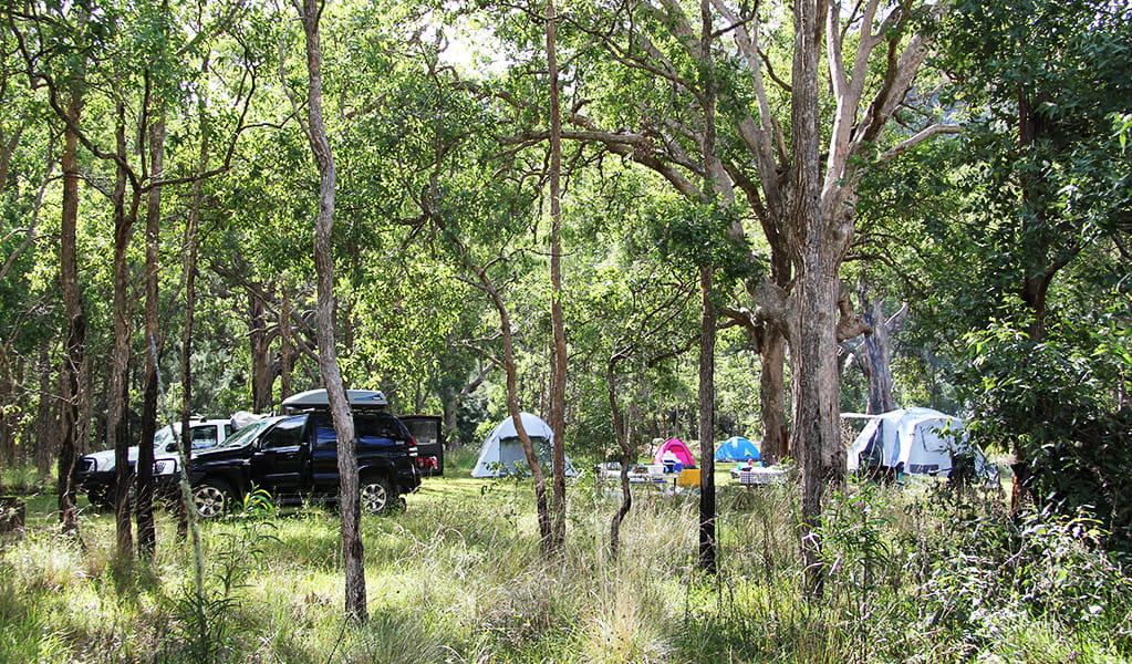 Enjoy shaded campsites in a truly remote, bush setting at Youdales campground. Credit: Natasha Webb &copy; Natasha Webb/DCCEEW