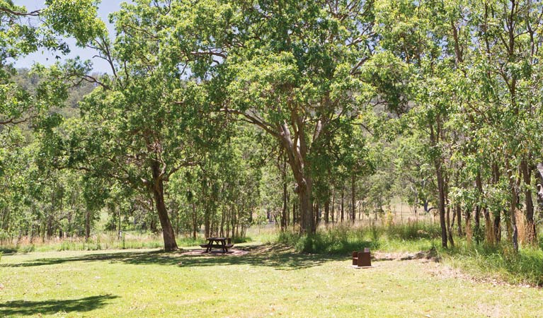 Youdales Hut campground and picnic area in Oxley Wild Rivers National Park. Photo: Rob Cleary/DPIE
