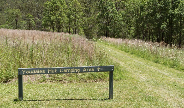 Youdales Hut campground and picnic area in Oxley Wild Rivers National Park. Photo: Rob Cleary/DPIE