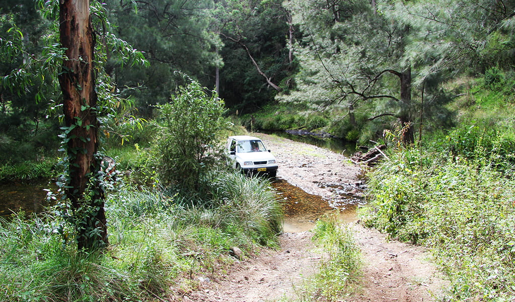 The track to reach Youdales campground is very steep and sometimes requires a creek crossing. Low-range 4WD vehicles are recommended. Credit: Natasha Webb &copy; Natasha Webb/DCCEEW