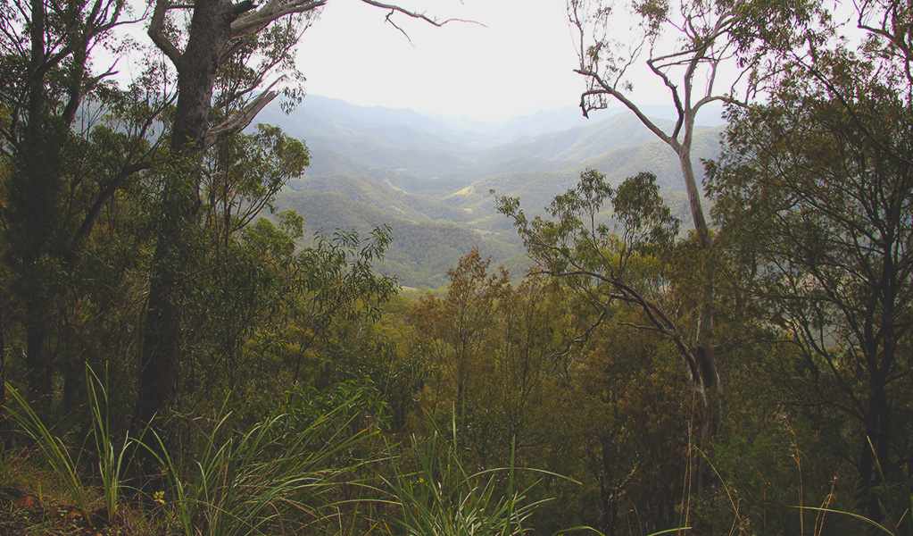 Extensive views across a mountain valley before descending the 4WD track to Youdales campground. Credit: Natasha Webb &copy; Natasha Webb/DCCEEW