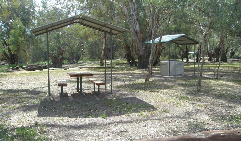 Picnic tables at the Coach and Horses campground. Photo: Steve Thompson