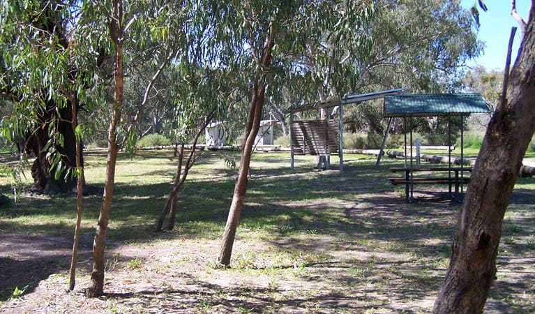 Coach and Horses Campground, Paroo Darling National Park.  Photo: Dinitee Haskard/NSW Government