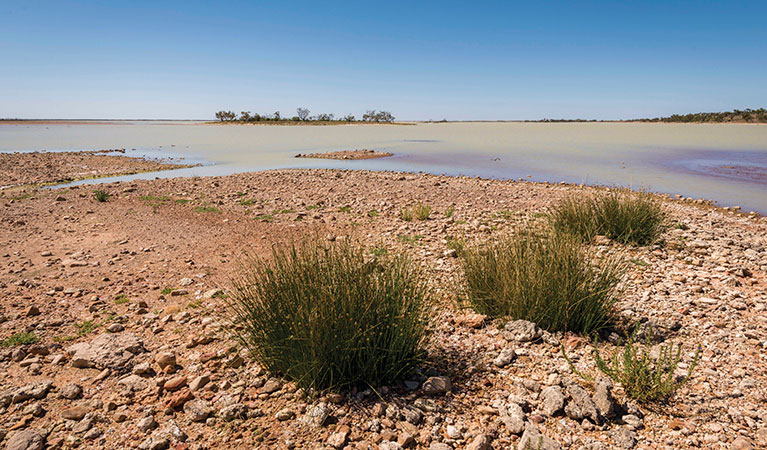 Peery Lake in Paroo Darling National Park. Photo: John Spencer &copy; DPIE