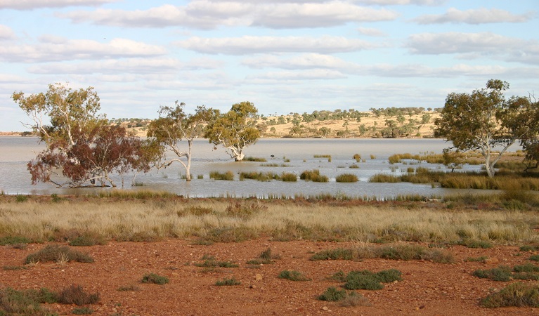 Peery Lake full of water in 2012. Photo: Dinitee Haskard OEH