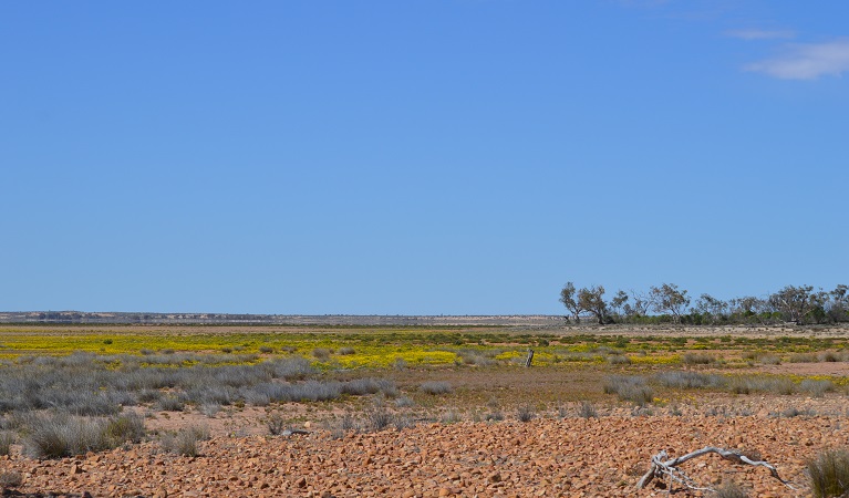 Peery Lake in dry season. Photo: Dinity Haskard OEH