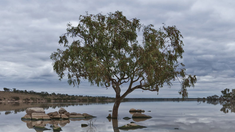 Peery Lake, Paroo-Darling National Park. Photo: Neal Foster