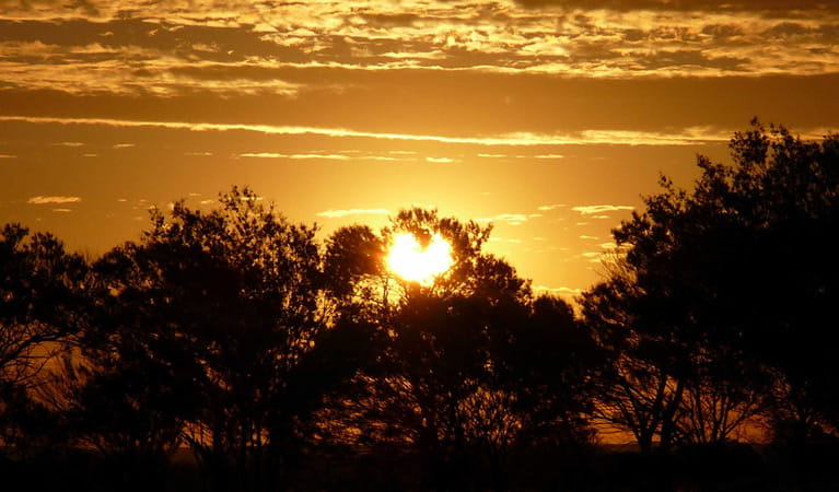 Sunset, Paroo-Darling National Park. 