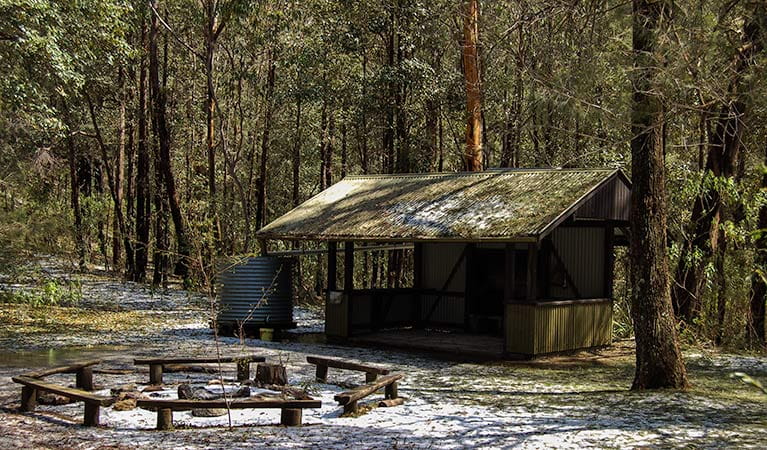 Heartbreak campground, Parr State Conservation Area. Photo: Susie Davis/NSW Government