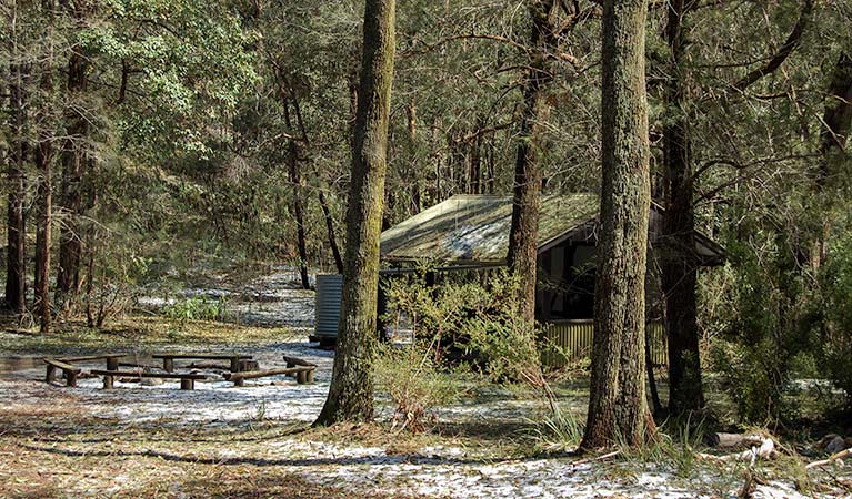 Heartbreak campground, Parr State Conservation Area. Photo: Susan Davis/NSW Government