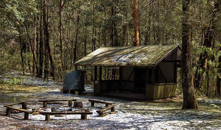 Heartbreak campground, Parr State Conservation Area. Photo: Susan Davis/NSW Government