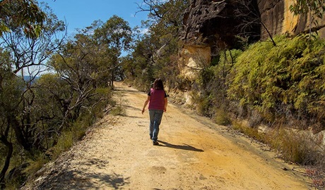 Womerah Range trail, Parr State Conservation Area. Photo: John Spencer/NSW Government