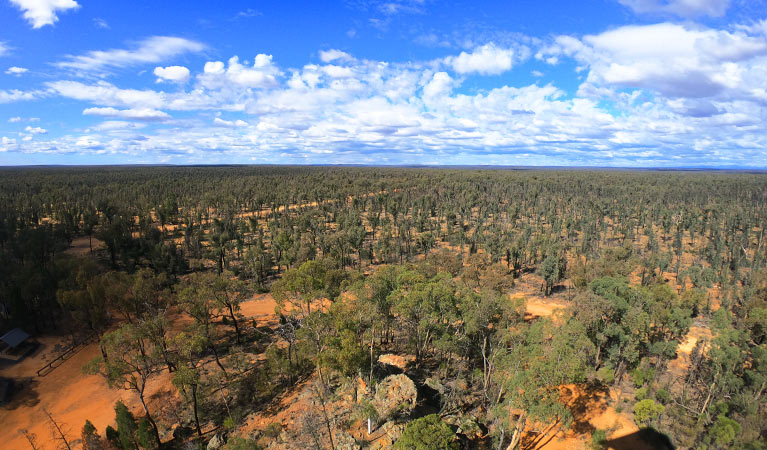 Aerial view of Salt Caves campground and picnic area, Timmallallie National Park. Photo: Bernadette Lai/DPIE.