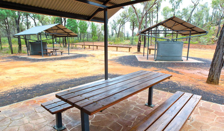 Salt Caves picnic area, Timmallallie National Park. Photo: Rob Cleary