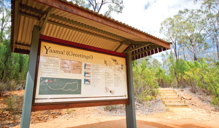 Sign for Sandstone Caves walking track. Photo: Rob Cleary