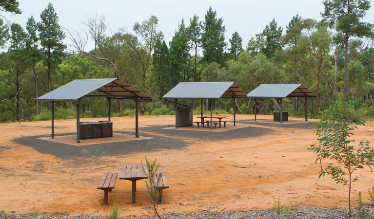 Picnic tables at the Sculpture in the Scrub campground. Photo: Rob Cleary/DPIE