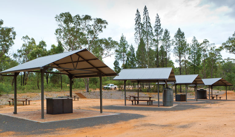 Facilities at the Sculpture in the Scrub campground. Photo: Rob Cleary/DPIE