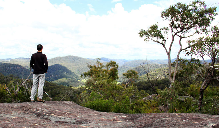 Emerald Pool loop walking track, Popran National Park. Photo: John Yurasek &copy; DPIE