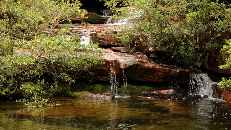 Emerald Pool, Popran National Park. Photo: John Yurasek &copy; DPIE