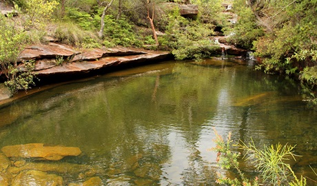 The picturesque waters of Emerald Pool along Hominy Creek walking track in Popran National Park. Photo: John Yurasek &copy; OEH