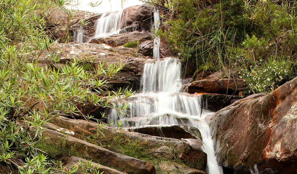 A waterfall along Hominy Creek walking track in Popran National Park. Photo: John Yurasek &copy; OEH
