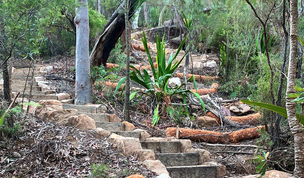 Sandstone steps along Hominy Creek walking track in Popran National Park. &copy; DCCEEW