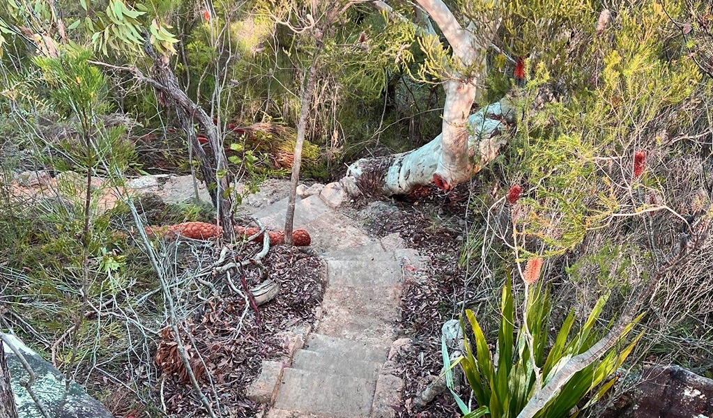 Looking down stone steps along Hominy Creek walking track surrounded by bush. &copy; DCCEEW