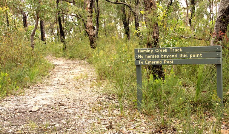 Hominy Creek walking track sign. Photo: John Yurasek &copy; OEH