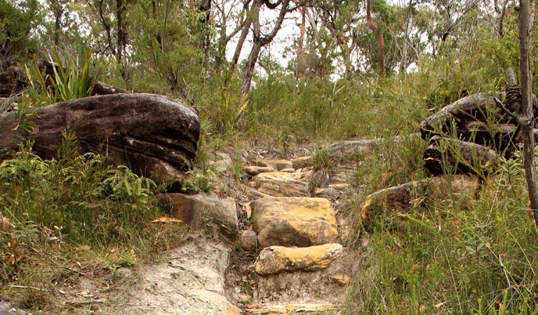 Rocks and bush on the Hominy Creek track. Photo: John Yurasek &copy; OEH