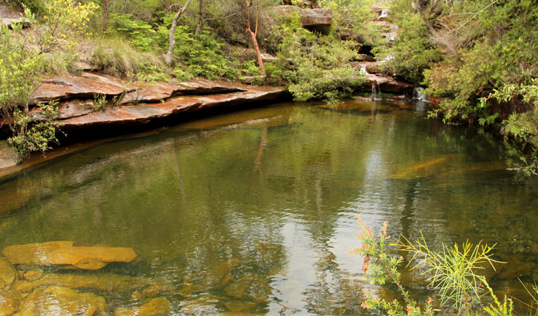 Pool of water in Popran National Park. Photo: John Yurasek &copy; OEH