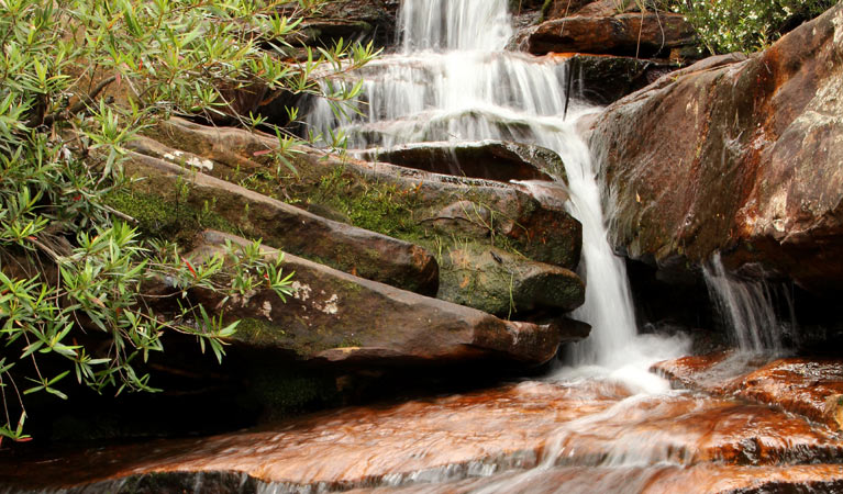 Waterfall along the Hominy Creek track. Photo: John Yurasek &copy; OEH