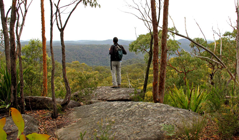 Mount Olive lookout, Popran National Park. Photo: John Yurasek