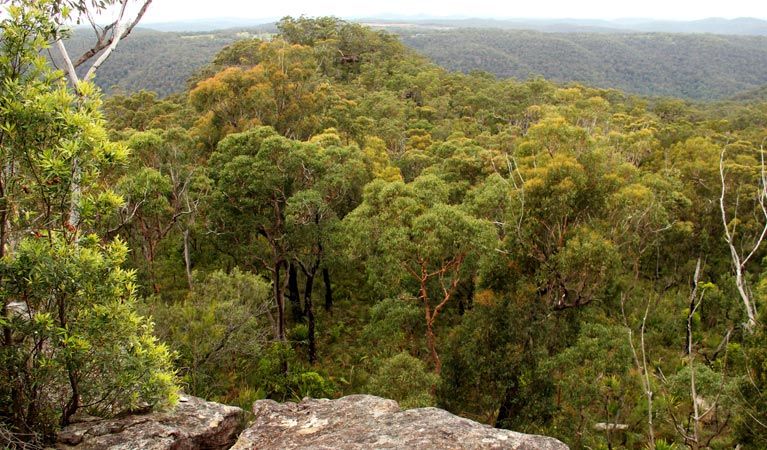 Mount Olive lookout, Popran National Park. Photo: John Yurasek