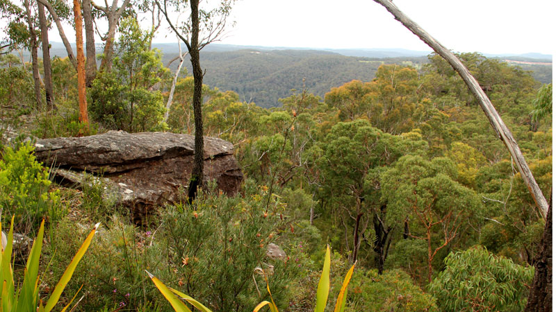 View from Mount Olive lookout. Photo: John Yurasek &copy; DPIE